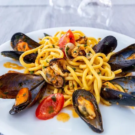 Splendid 3* Gatteo a Mare